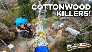 Cottonwood Killers! | Removing Cottonwoods with Randy!