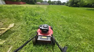 POV mowing overgrown grass Edging Mowing trimming Blowing