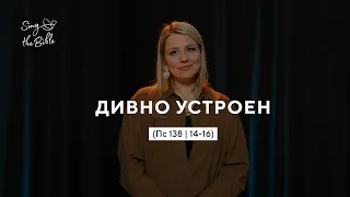 Дивно устроен | Sing the Bible | Поклонение