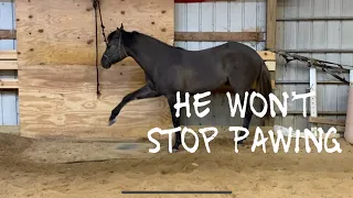 My Horse won’t Stop Pawing