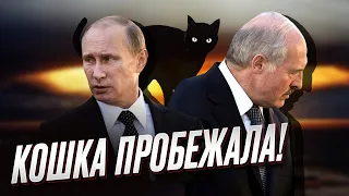 ❗ Путин и Лукашенко на дух друг друга не переносят!