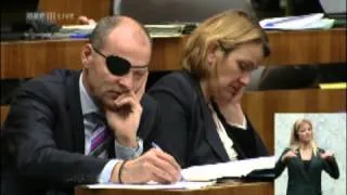 Pirat im österreichischen Parlament