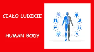 Ciało ludzkie - Human body. Części ciała po angielsku - Parts of the body in English.