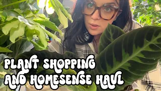 Come plant shopping with me 🪴 PLUS a Homesense HAUL! 🫦