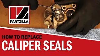 How to Replace Brake Caliper Seals | Brake Caliper Rebuild | Caliper Piston Seal Replacement