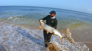 BIG FISH EVERYWHERE!!! TARPON MADNESS IN TOBAGO! Beach Fishing For The Silver King In The Caribbean