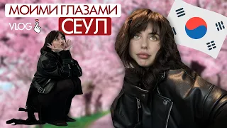 🤪Сеул – ДРУГАЯ ПЛАНЕТА! Полный гид по городу, магазины и поедание живых осьминогов