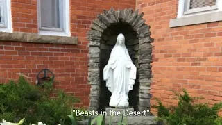 Homily #383 - Beasts in the Desert