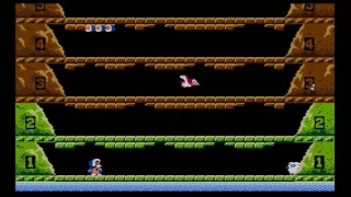Nintendo Wii: Ice Climber (1985) Wii Virtual Console (NES game)