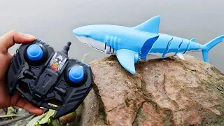 Remote Control Shark Pool Toy | RC Shark Unbox & Swim | Toy Fair 2021 RC Shark