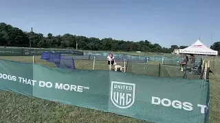 Furrari | UKC Precision Coursing