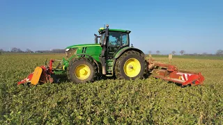Startschuss 2022! Landwirtschaft - Zwischenfrucht mulchen/John Deere 6250R mit Dücker Mulch-Kombi