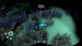 I found the rarest time capsule in subnautica!