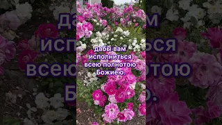 💖💖 Библия на сегодня #бог #любовь #вера #душа