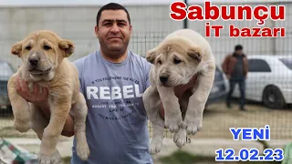 Sabunçu İT Bazarı 12 fevral 2023 @mubarizemintv