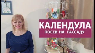 Как сеять календулу(ноготки) на рассаду