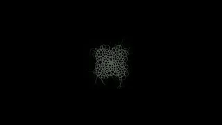 Slime Mold Simulation in Python