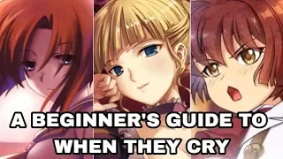 A Beginner's Guide to When They Cry