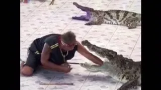Crocodile bite the trainers arm
