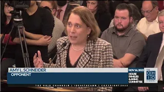 Jeopardy champion Amy Schneider testifies against Ohio House bill to limit healthcare for LGBT youth