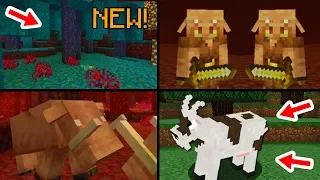 ✔ Minecraft 1.16 Update: 15 Features That Will Be Added