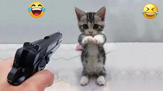YOU LAUGH YOU LOSE😺Best Funny Animals Video 2024😼🐶Part 9