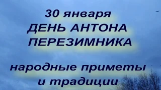 30 января ДЕНЬ АНТОНА ПЕРЕЗИМНИКА . народные приметы и традиции