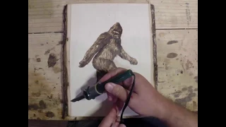 Sasquatch Patterson Gimlin Bigfoot Woodburning - Time Lapse