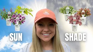 Let's Plant Up Sun vs. Shade Window Boxes! ☀️☁️ :: Plant Exposure Needs Defined