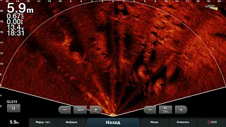 LiveScope         Вода +1град. ,течение...Режим Перспектива.