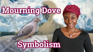 Mourning Dove Spirit animal Totem | Release Burdens to See the Big Picture