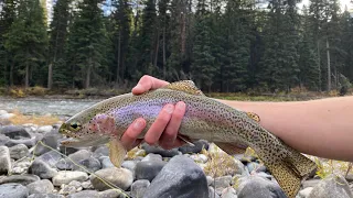 FLY FISHING Montana's GALLATIN RIVER