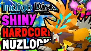 I Beat a Shiny Only Hardcore Nuzlocke of the Indigo Disk | Pokemon Violet Indigo Disk DLC