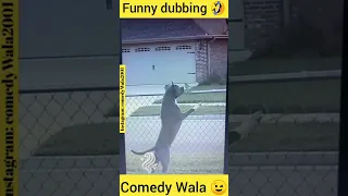 ✅Dog funny dubbing videos 🤣#shorts #comedywala