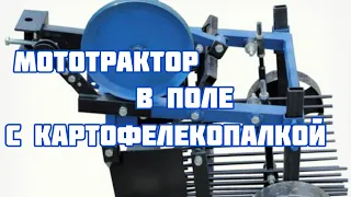 Мототрактор в работе с грохотной картофелекопалкой! Видео от подписчика👍