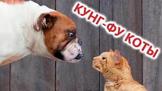 Funny Animal Videos 2023 - Funniest Dogs and Cats Videos #136