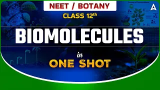 BIOMOLECULES IN ONE SHOT | BOTANY BIOMOLECULES CLASS | NEET BOTANY ONE SHOT | BOTANY BY TARUN SIR