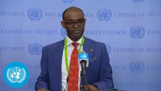 Sudan on the situation in the Country - Security Council Media Stakeout