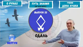 Руны XXI (2022)  / Выпуск 23 / Руна Одаль