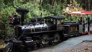 Fun in the Park Bright Night Miniature Train Ride in Stanley Park