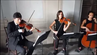 Florence Art Ensemble String Trio Wildest Dreams