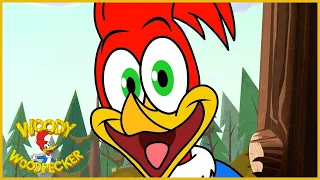 Woody Woodpecker is Back! | BRAND NEW Series Live on YouTube | Promo 01 | Kids Movies