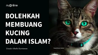 Hukum Membuang Kucing karena Mengganggu | Ustadz Alhafiz Kurniawan