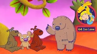 64 Zoo Lane - The Story of the Jimjameree Tree - NEW EPISODE | Cartoon for kids