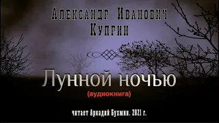 Александр Иванович Куприн "Лунной ночью"