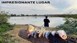 PESCANDO cerca de la CIUDAD,lugar GRATIS lleno de PESCA