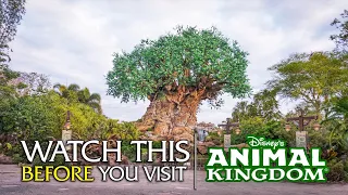 Rating Every Exhibit at Disney's Animal Kingdom