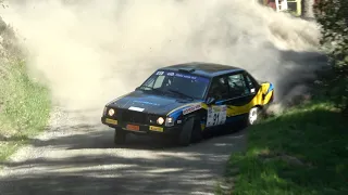 South Swedish Rally 2023 - Avåkning, kriser & action