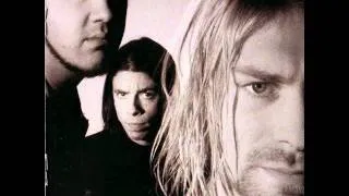 THE NIRVANA EXPERIENCE 17