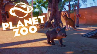 KOALA AND KANGAROO HABITAT SPEED BUILD| Planet Zoo Speed Builds EP16